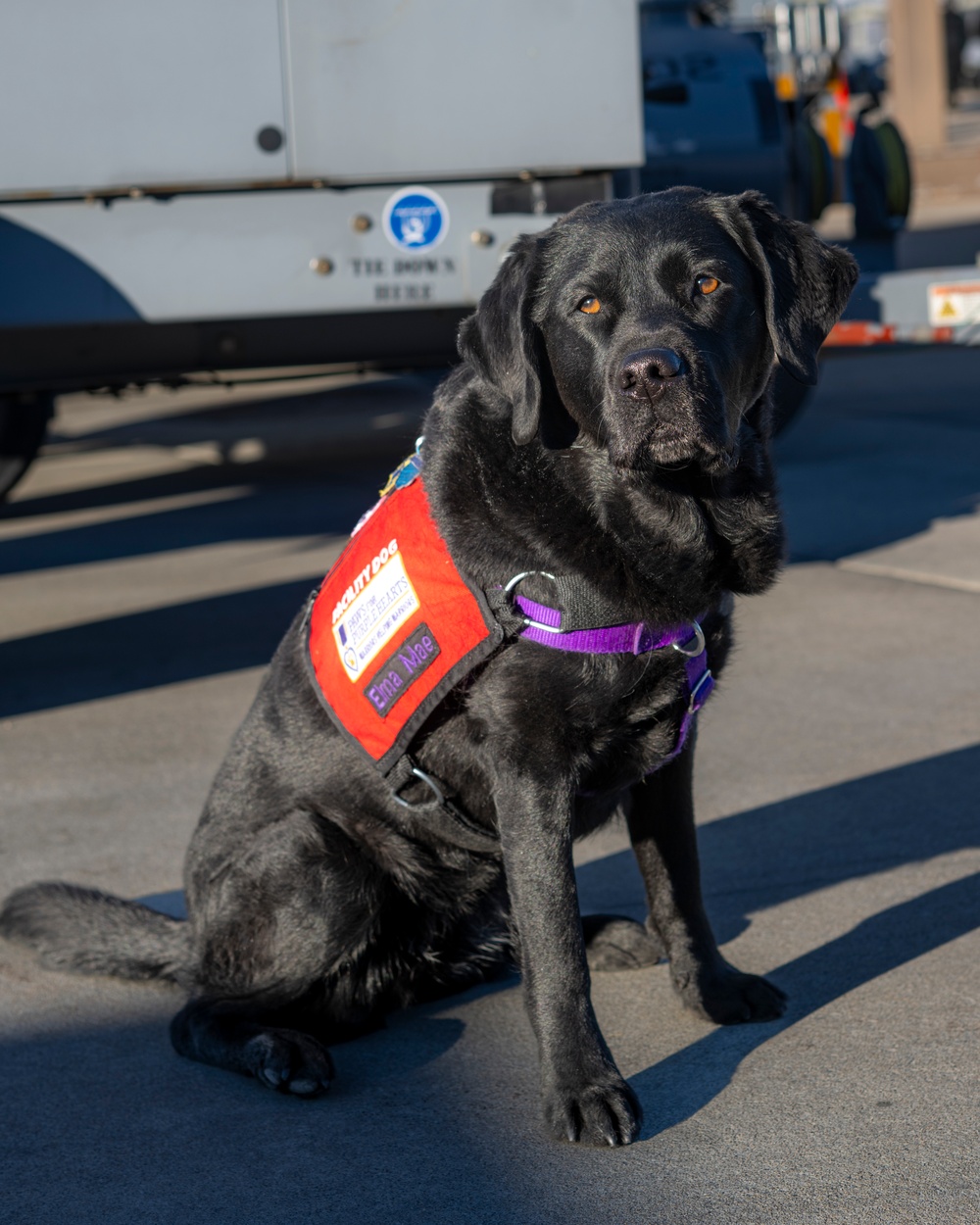 True North Therapy Dogs at Hill AFB