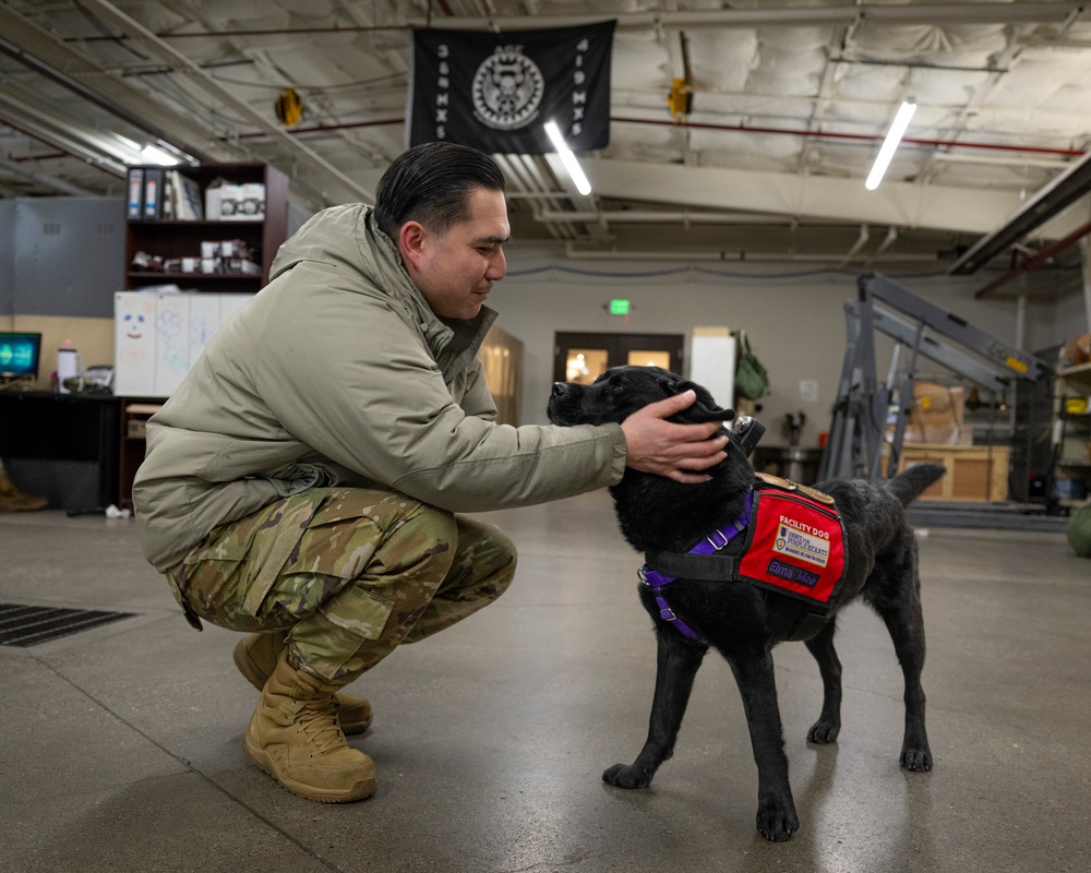 True North Therapy Dogs at Hill AFB