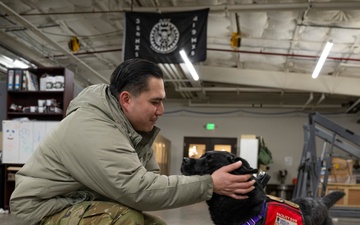 True North Therapy Dogs at Hill AFB