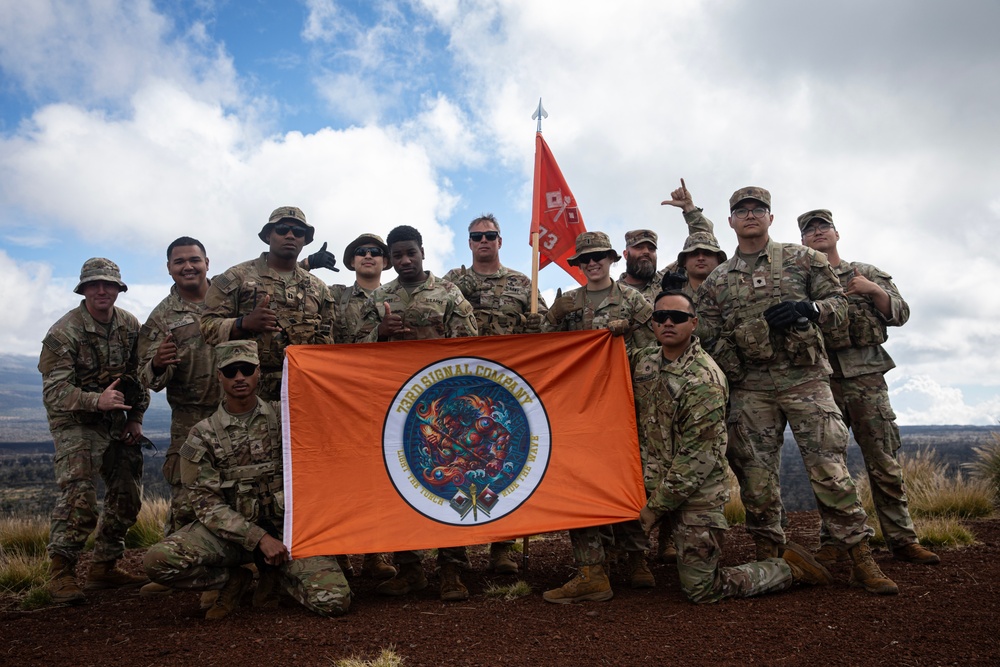 25th Division Sustainment Brigade Conducts Sling Load Training