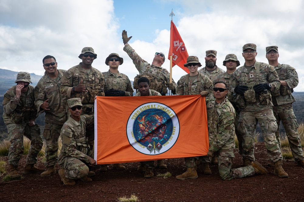 25th Division Sustainment Brigade Conducts Sling Load Training