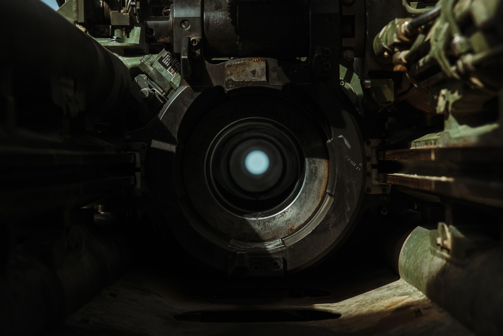 3/14 Marines conduct FSCEX during AFX 1-25