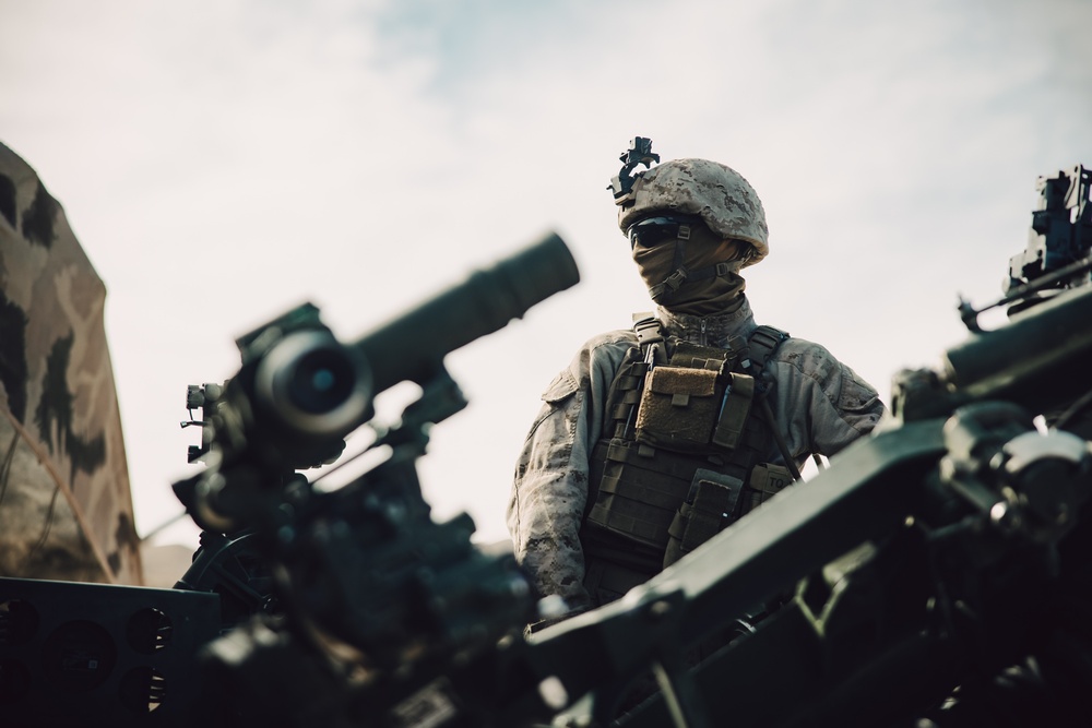 3/14 Marines conduct FSCEX during AFX 1-25