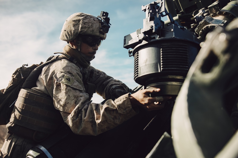3/14 Marines conduct FSCEX during AFX 1-25