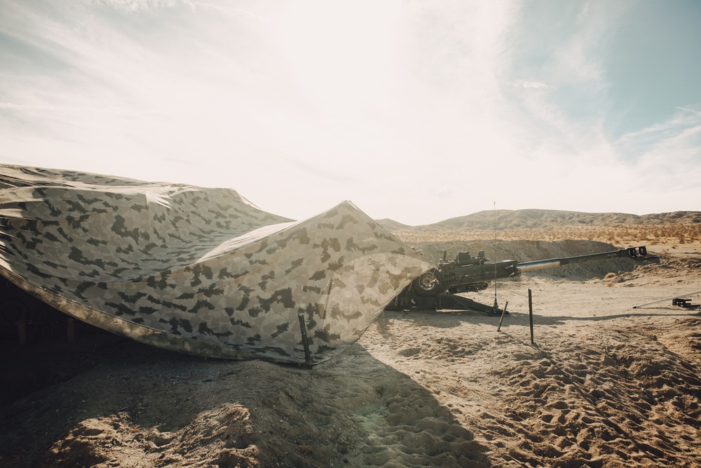 3/14 Marines conduct FSCEX during AFX 1-25