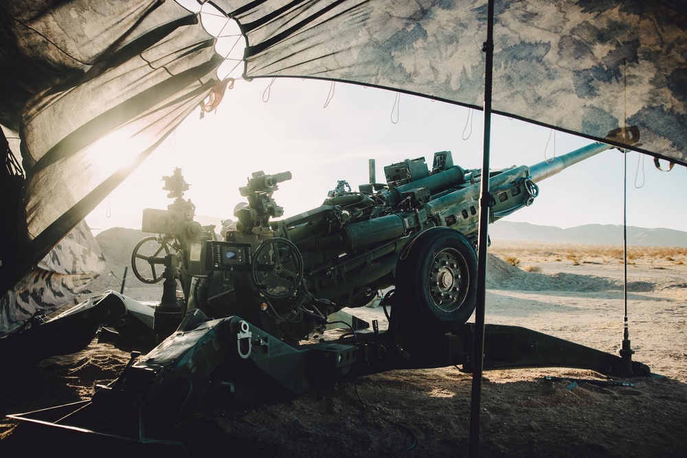 3/14 Marines conduct FSCEX during AFX 1-25