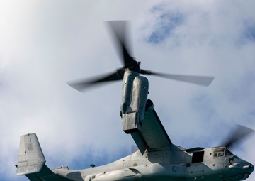 U.S., Japan train mass casualty training response off Southern Japan coast