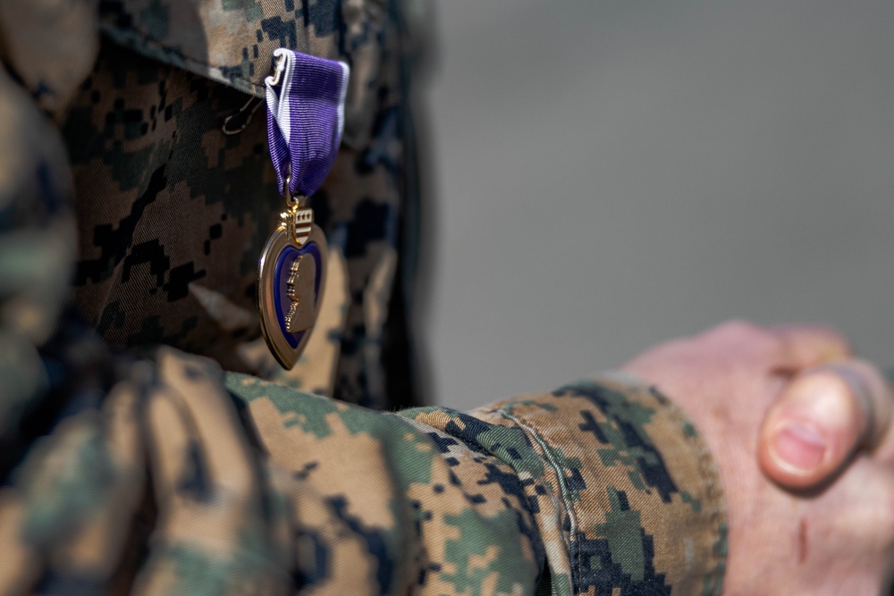 Master Gunnery Sergeant Johnson is presented the Purple Heart