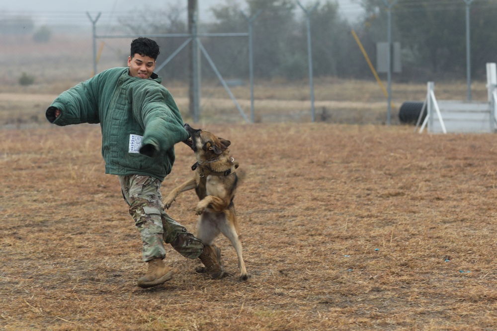 226th Military Working Dog Detachment Demonstration