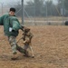 226th Military Working Dog Detachment Demonstration