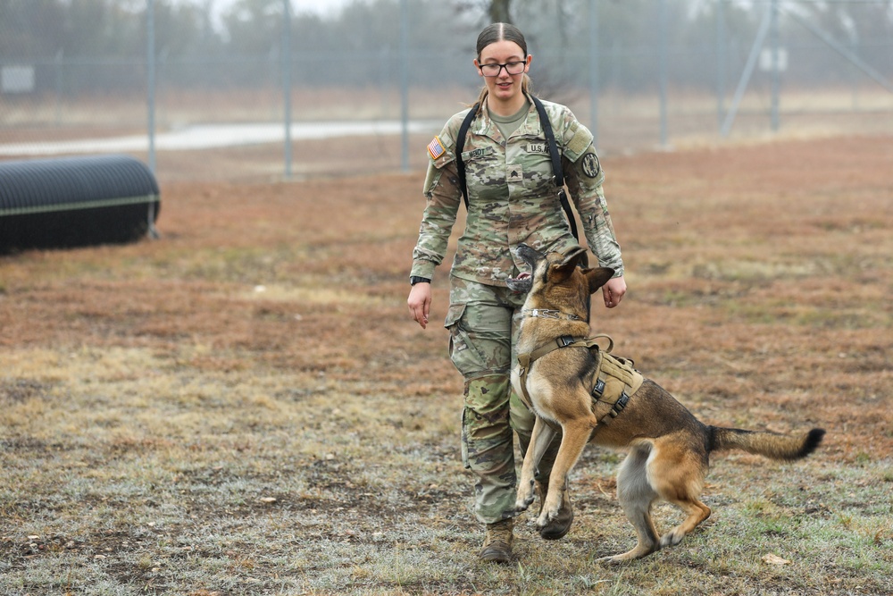 226th Military Working Dog Detachment Demonstration