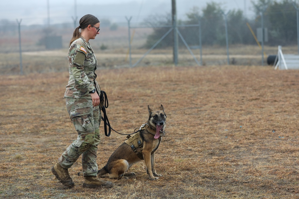 226th Military Working Dog Detachment Demonstration