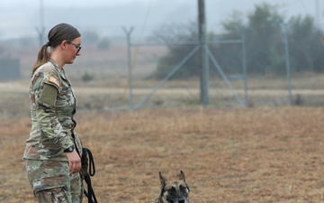 226th Military Working Dog Detachment Demonstration