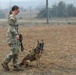 226th Military Working Dog Detachment Demonstration