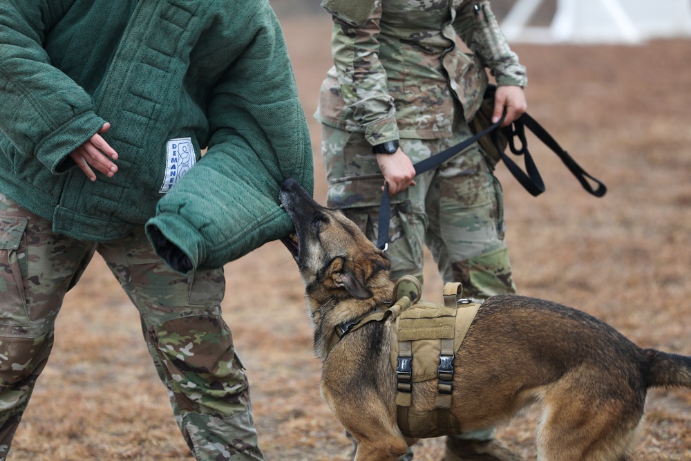 226th Military Working Dog Detachment Demonstration