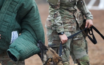 226th Military Working Dog Detachment Demonstration