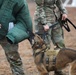 226th Military Working Dog Detachment Demonstration