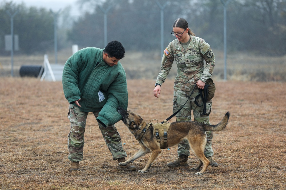 226th Military Working Dog Detachment Demonstration