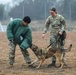 226th Military Working Dog Detachment Demonstration