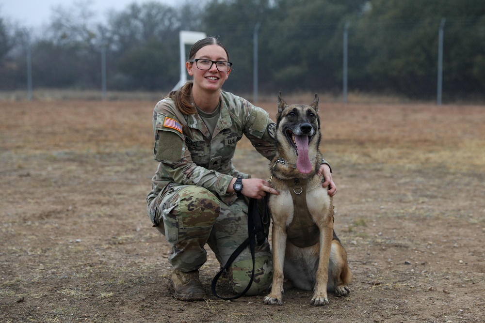 226th Military Working Dog Detachment Demonstration