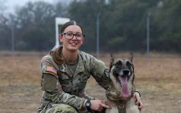 226th Military Working Dog Detachment Demonstration