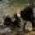 Corporals Course class 1-25 attend Jungle Warfare Training | 2025