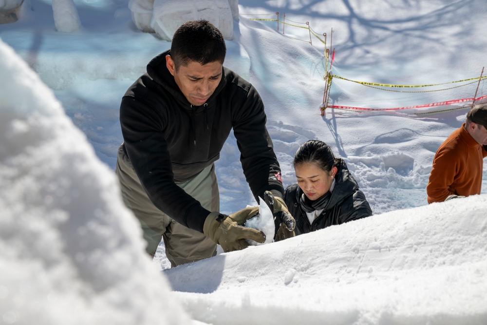 Sapporo Snow Festival 2025