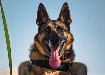 Deployed Mission-Ready Airmen: Tac-Lead Course emphasizes Agile Combat Employment