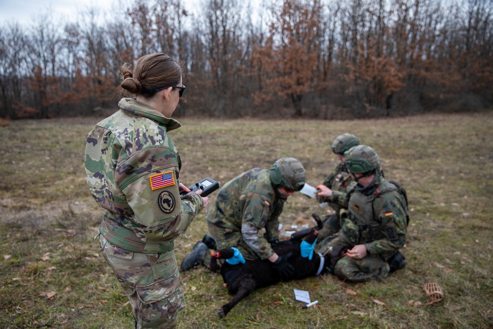 Multinational Kosovo Force 34 soldiers conduct K9 TCCC Course