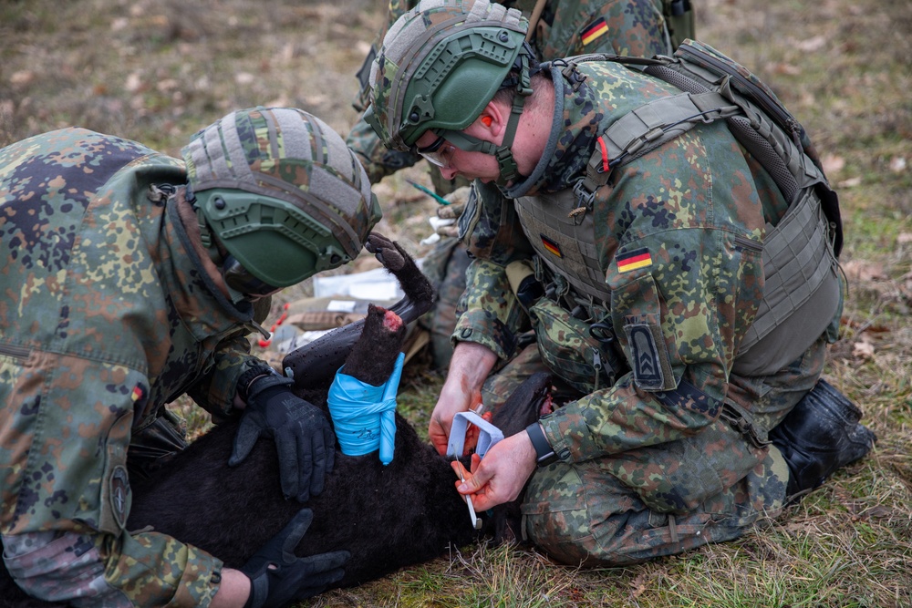 Multinational Kosovo Force 34 soldiers conduct K9 TCCC Course