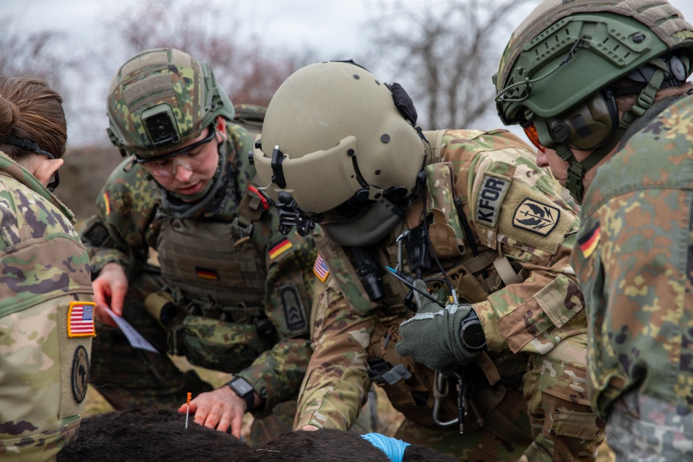 Multinational Kosovo Force 34 soldiers conduct K9 TCCC Course