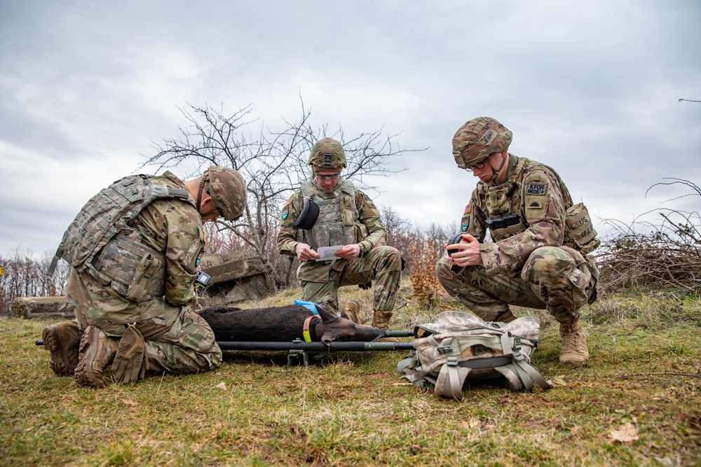 Multinational Kosovo Force 34 soldiers conduct K9 TCCC Course