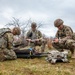 Multinational Kosovo Force 34 soldiers conduct K9 TCCC Course