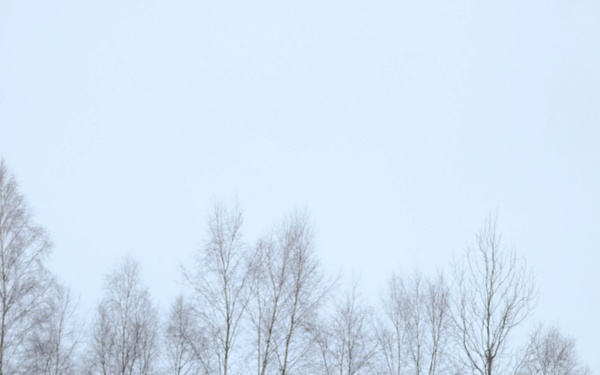 HIMARS Crews Validate Skills in Estonia