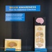 Brain Awareness From the Historical Collections