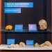 Brain Awareness From the Historical Collections