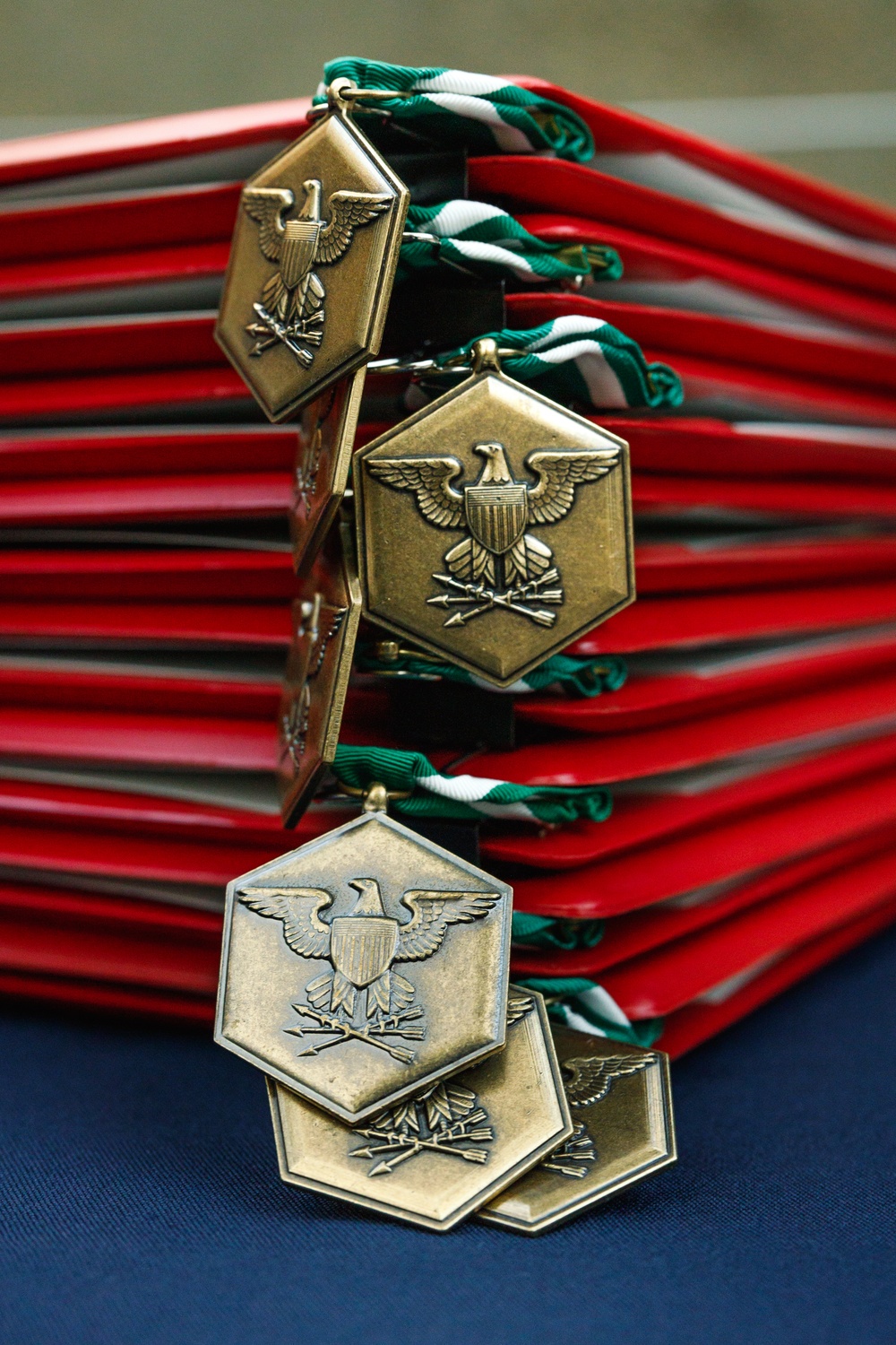 Commandant of the Marine Corps Combined Awards Program