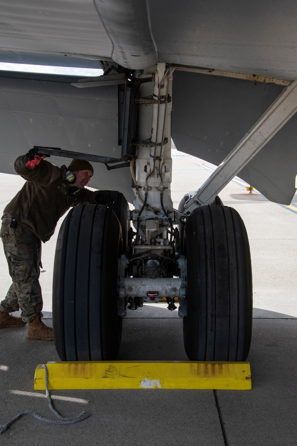 Landing Gear Check