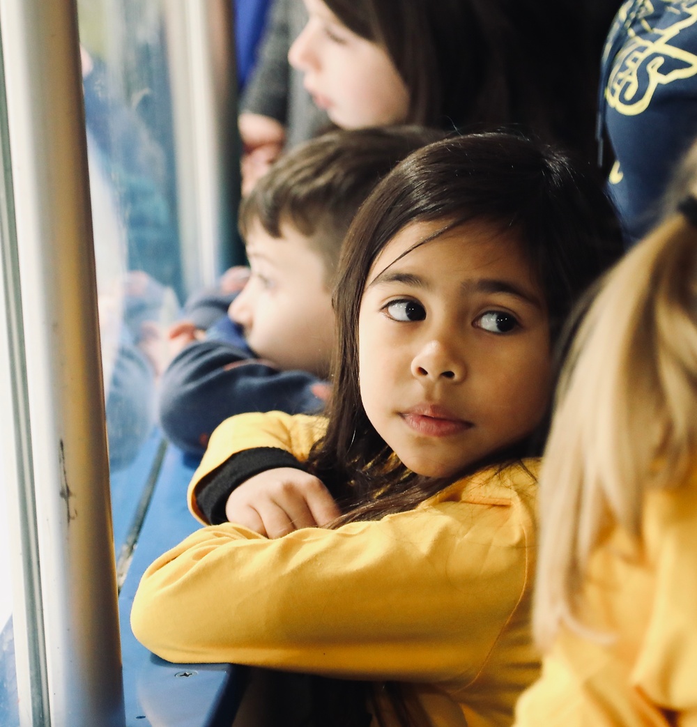 Illinois Army National Guard Gold Star Family Honored by Junior Blues Hockey Team