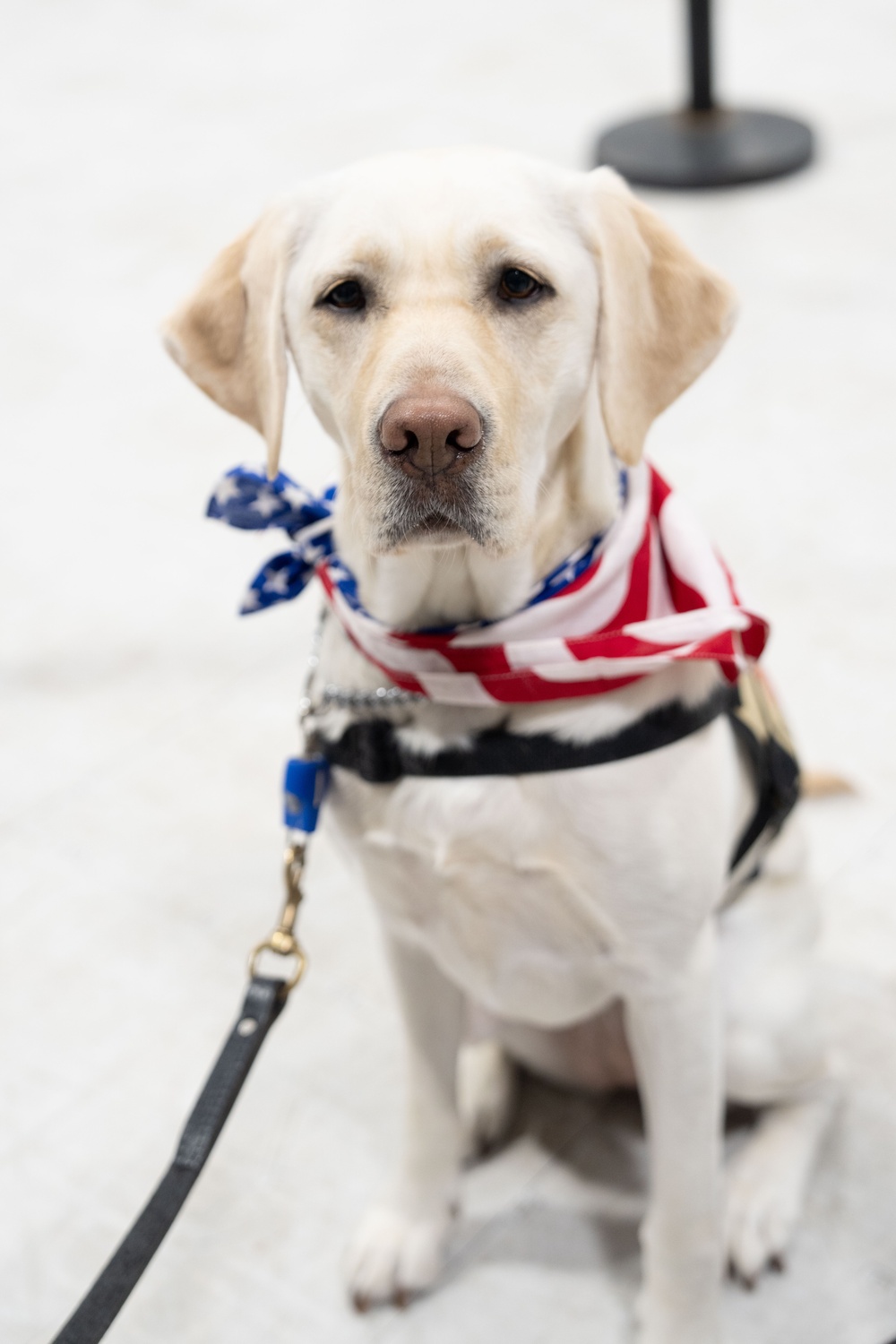 Arrival | Retired Navy LS2 Merry Garza (ret)| Service Animal