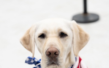 Arrival | Retired Navy LS2 Merry Garza (ret)| Service Animal