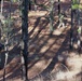 JB MDL- 1 BN 102 INF DIV, Scouts Live Fire exercise, Range 30B