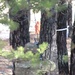 JB MDL- 1 BN 102 INF DIV, Scouts Live Fire exercise, Range 30B