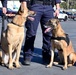 U.S. Coast Guard CEDT K-9s and Members support Rose Bowl Game security