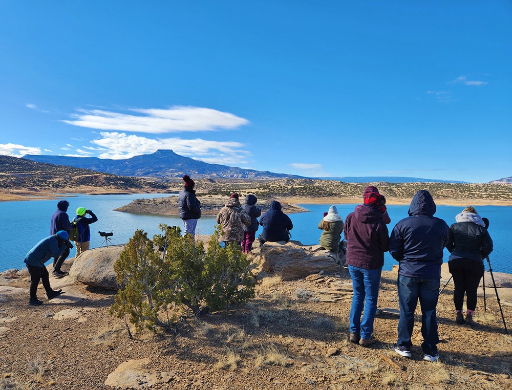 Volunteers spot 80 eagles at five USACE-Albuquerque District lakes during eagle watch surveys in January