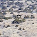 Volunteers spot 80 eagles at five USACE-Albuquerque District lakes during eagle watch surveys in January