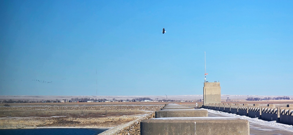 Volunteers spot 80 eagles at five USACE-Albuquerque District lakes during eagle watch surveys in January