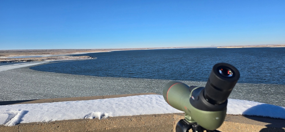 Volunteers spot 80 eagles at five USACE-Albuquerque District lakes during eagle watch surveys in January