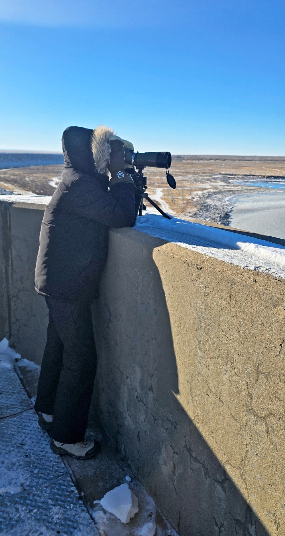 Volunteers spot 80 eagles at five USACE-Albuquerque District lakes during eagle watch surveys in January