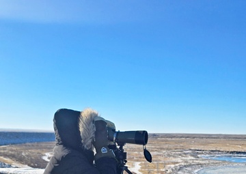 Volunteers spot 80 eagles at five USACE-Albuquerque District lakes during eagle watch surveys in January